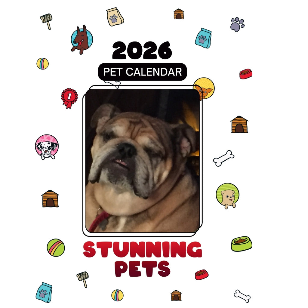 5133443767 Headlines Stunning Pets: A 2026 Pet Calendar