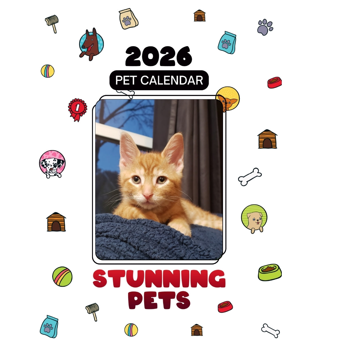 1 Headlines Stunning Pets: A 2026 Pet Calendar