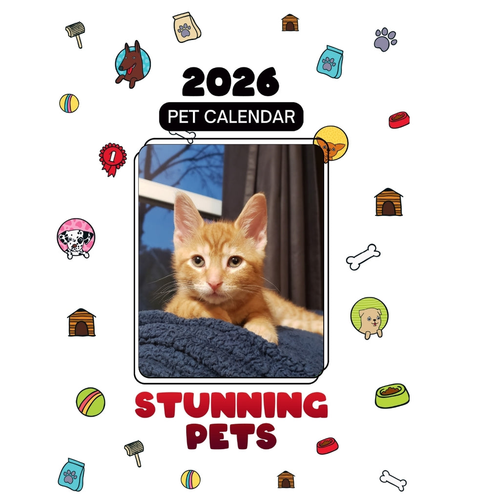 1 Headlines Stunning Pets: A 2026 Pet Calendar