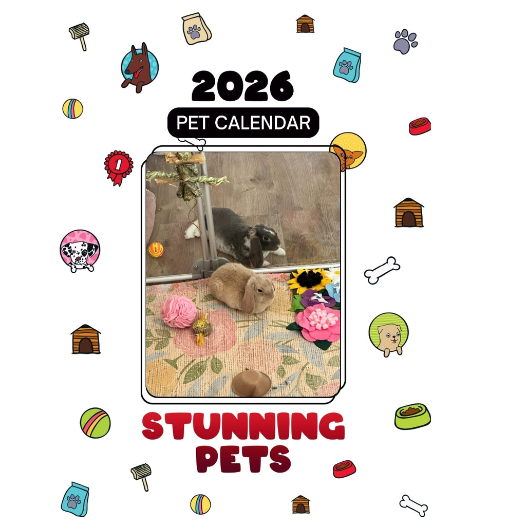 Rabbit Headlines Stunning Pets: A 2026 Pet Calendar