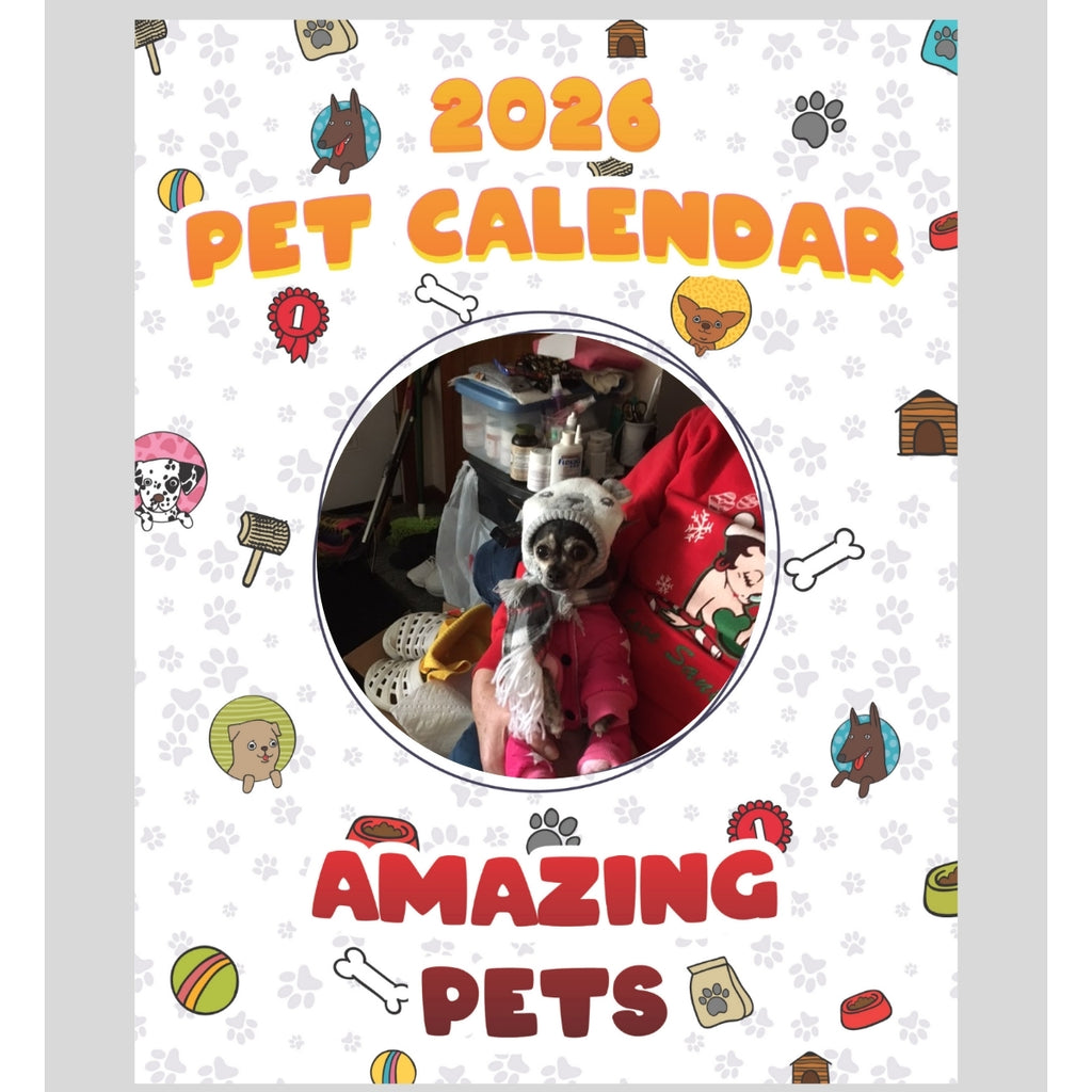 Chihuahua Yorky Stars in Stunning Pets: A 2026 Pet Calendar