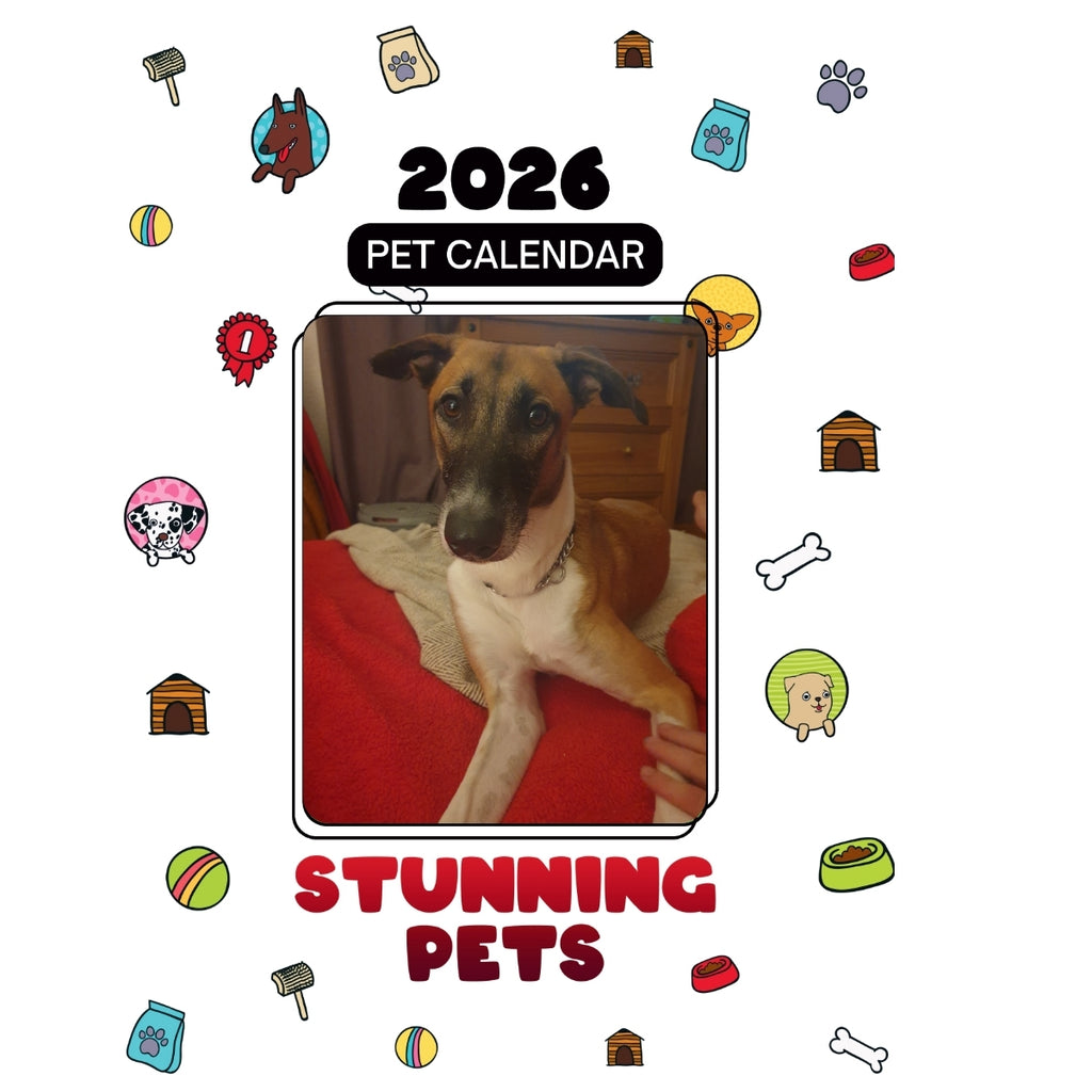 1 Headlines Stunning Pets: A 2026 Pet Calendar