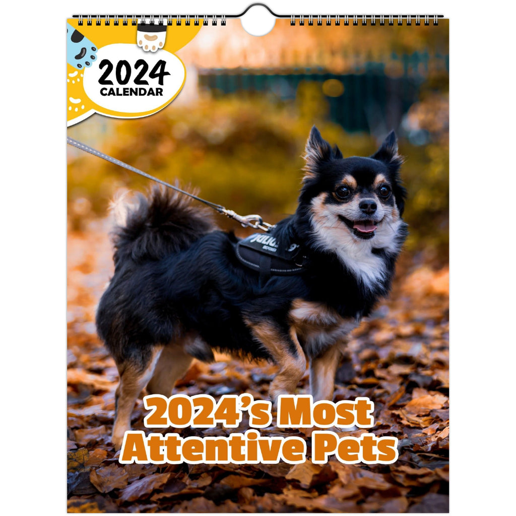 2024's Most Attentive Pets: 2024 Wall Calendar (Published)