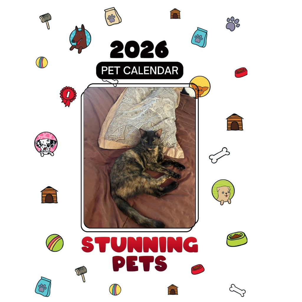 1997 Nissan Silvia 240Sx Kouki S14 Headlines Stunning Pets: A 2026 Pet Calendar