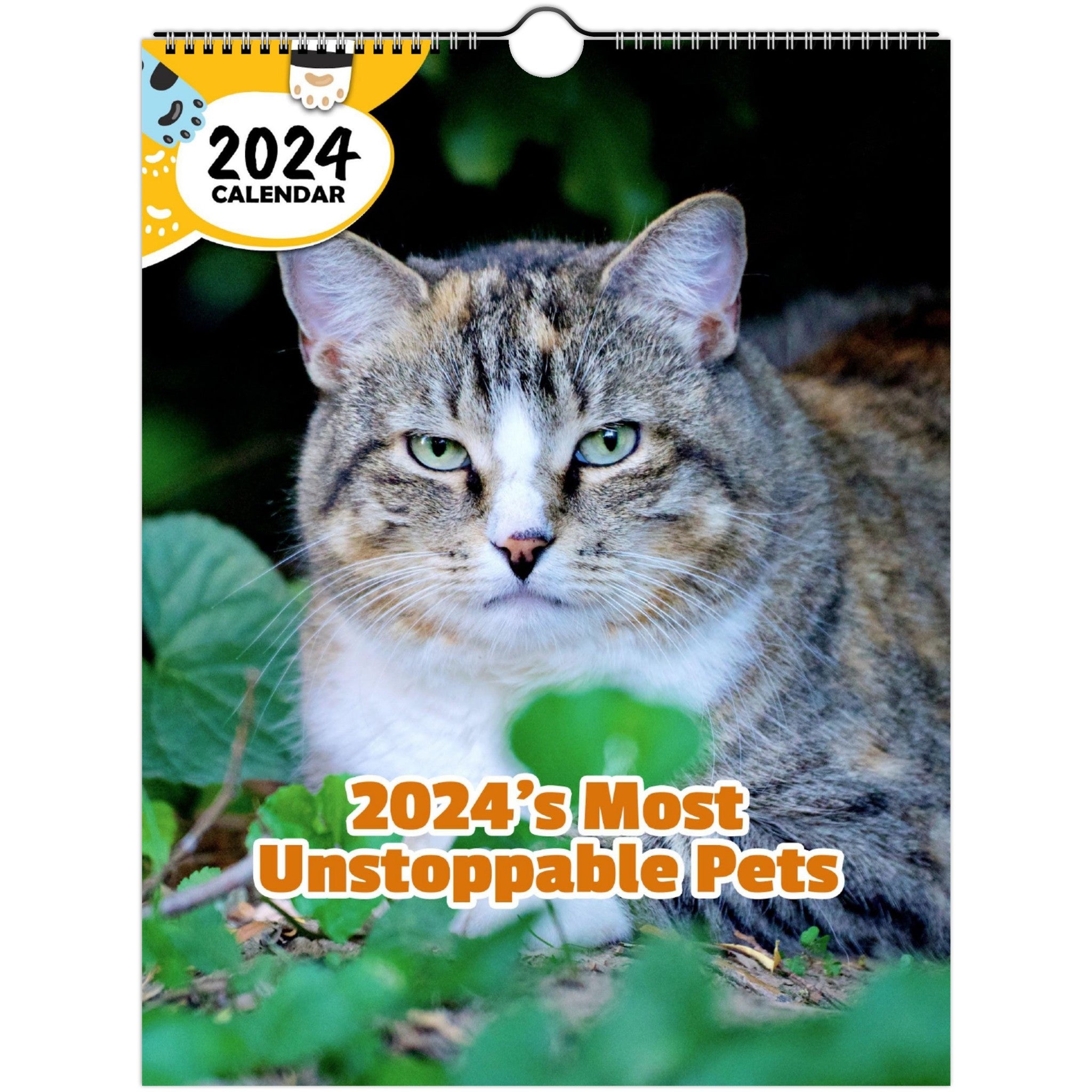 2024's Most Unstoppable Pets: 2024 Wall Calendar (Published)