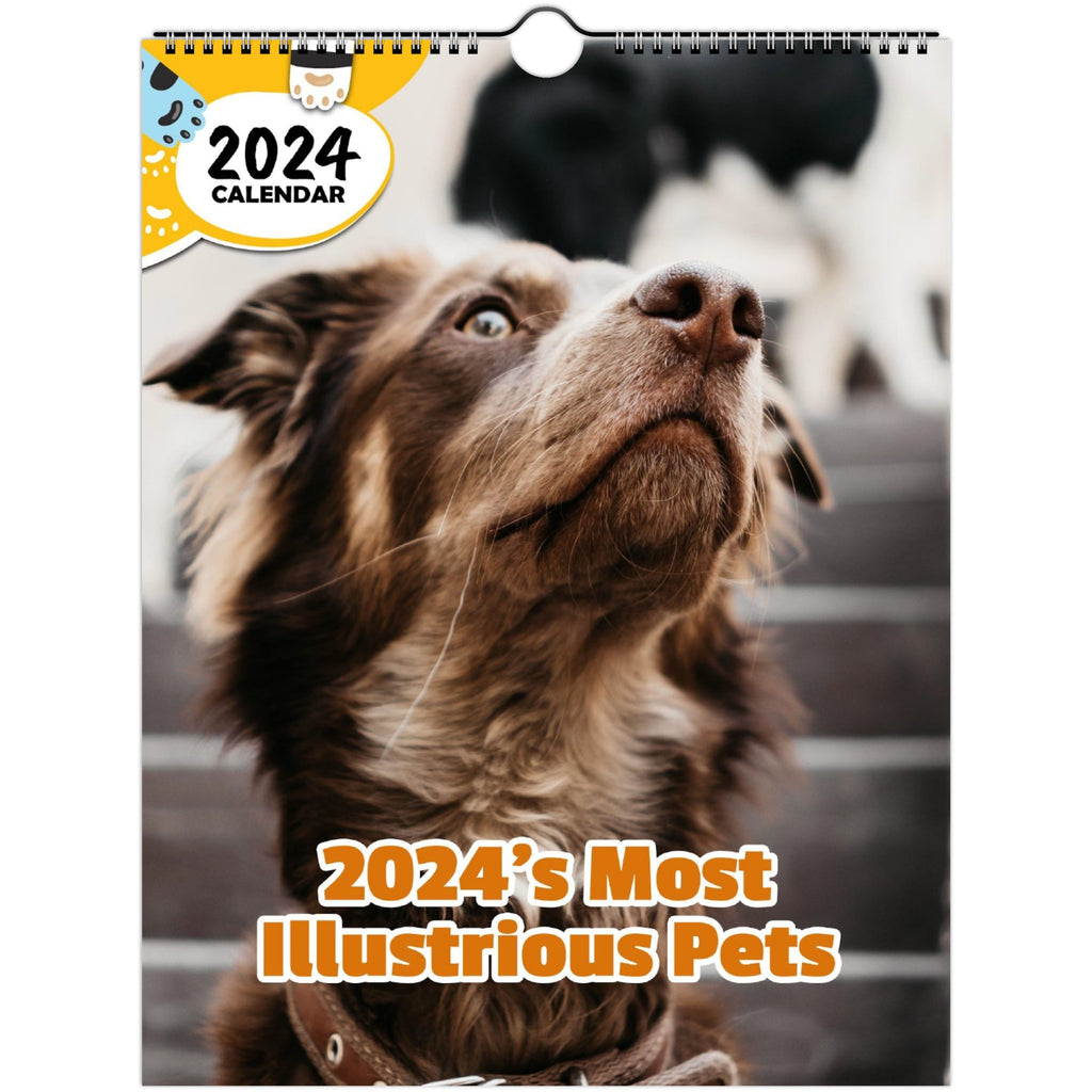 2024's Most Illustrious Pets: 2024 Wall Calendar (Published)