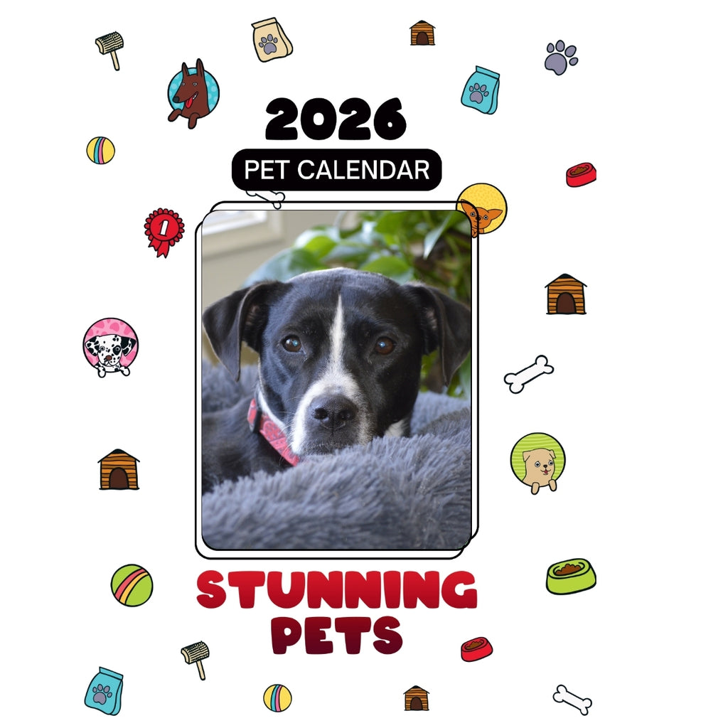 13 Headlines Stunning Pets: A 2026 Pet Calendar