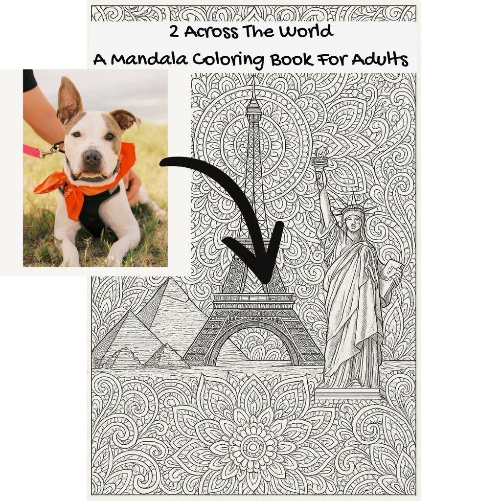 2 Across The World: A Mandala Coloring Book For Adults