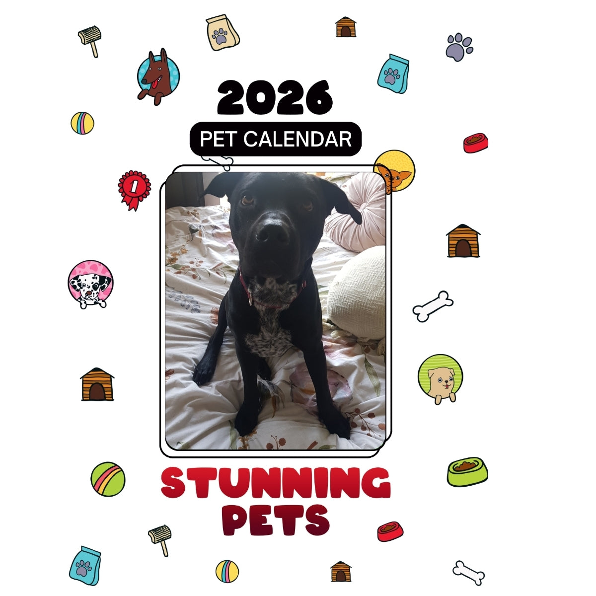 1 Headlines Stunning Pets: A 2026 Pet Calendar