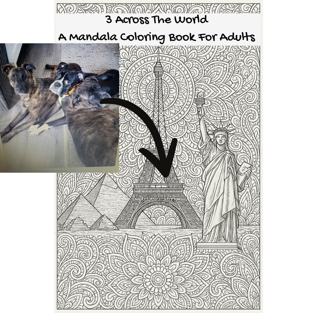 3 Across The World: A Mandala Coloring Book For Adults