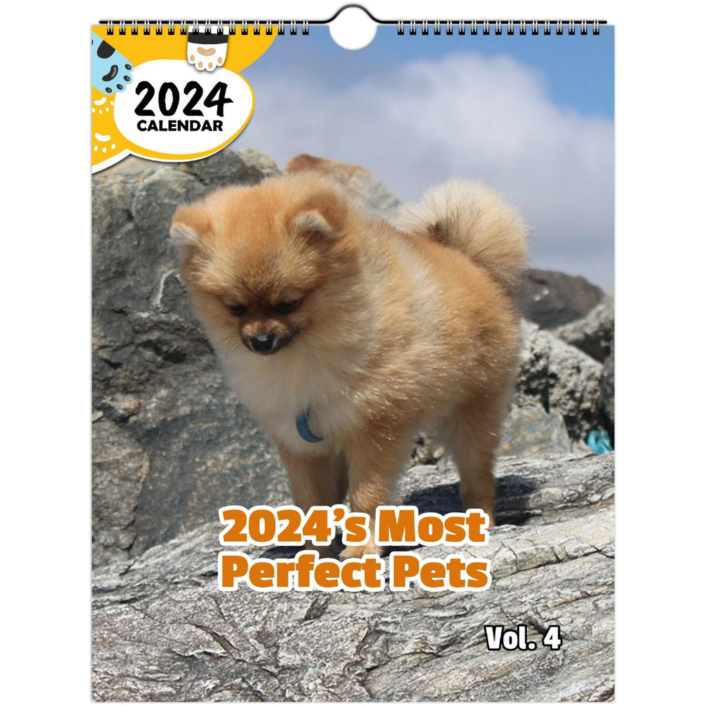 2024's Most Perfect Pets Volume Four: 2024 Wall Calendar (Published)