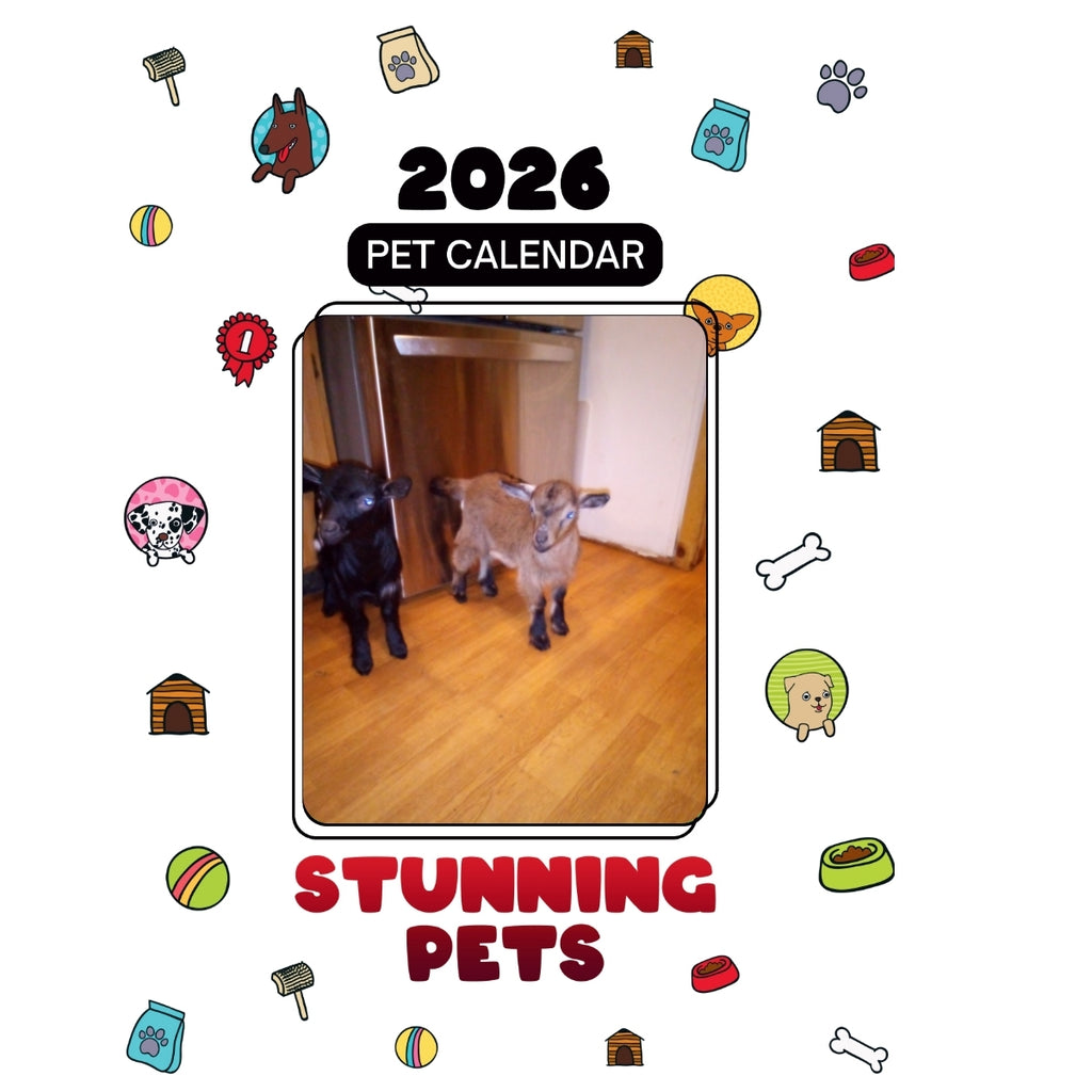 304-765-1038 Headlines Stunning Pets: A 2026 Pet Calendar