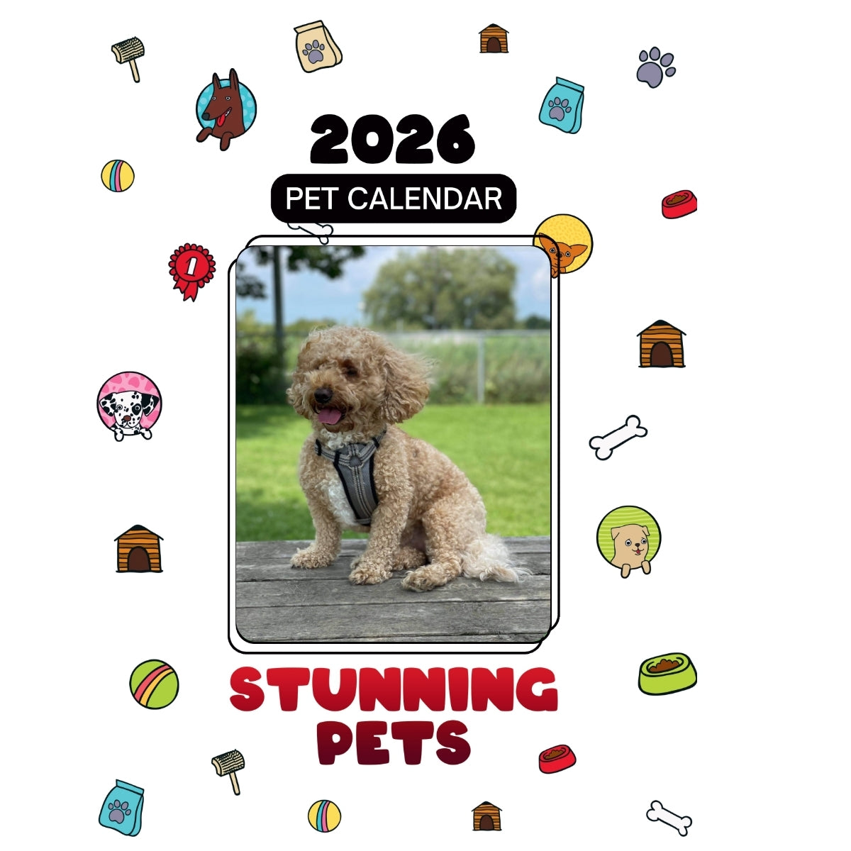 1 Headlines Stunning Pets: A 2026 Pet Calendar