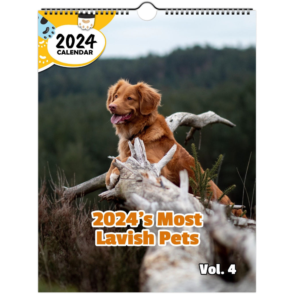 2024's Most Lavish Pets Volume Four: 2024 Wall Calendar (Published)