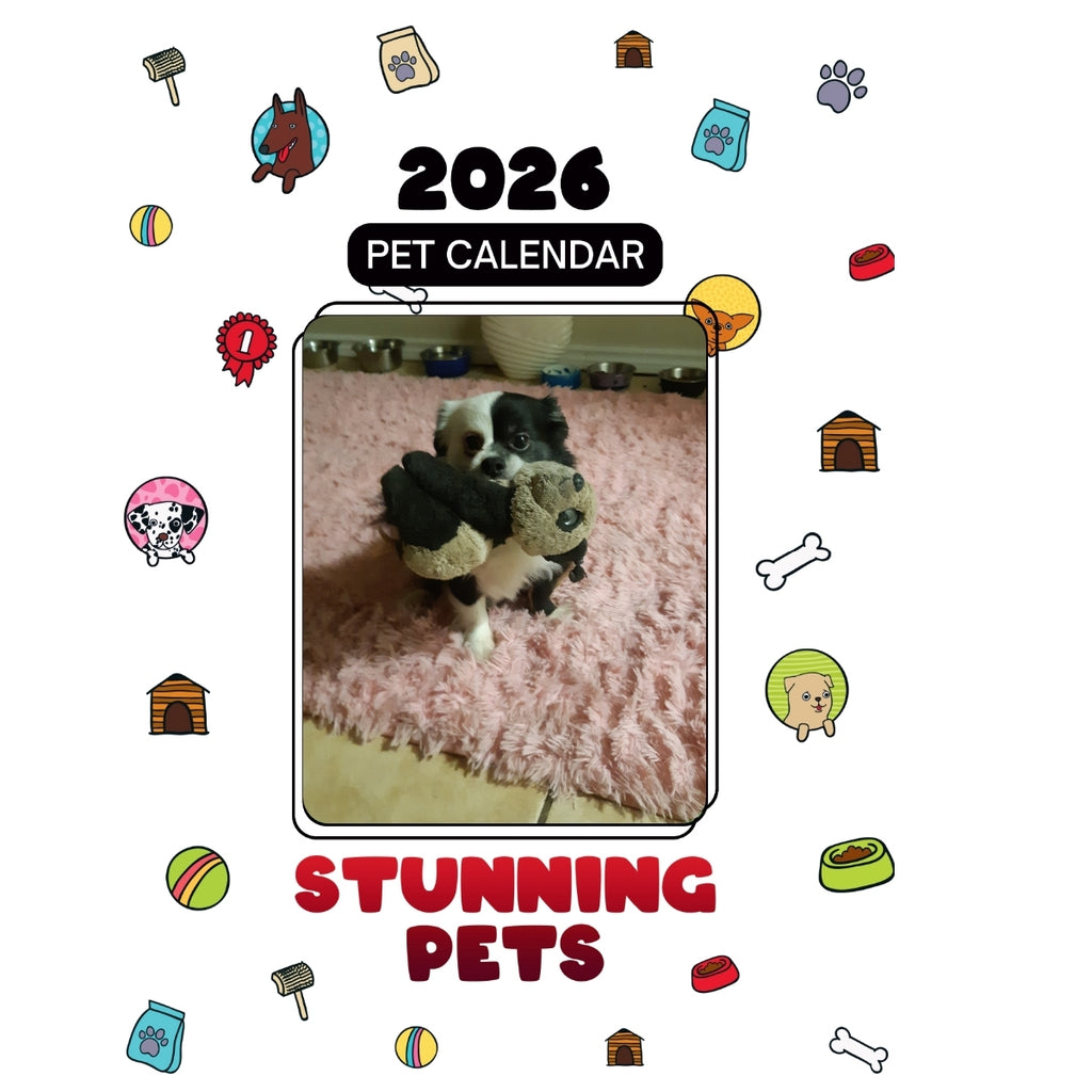 1 Headlines Stunning Pets: A 2026 Pet Calendar