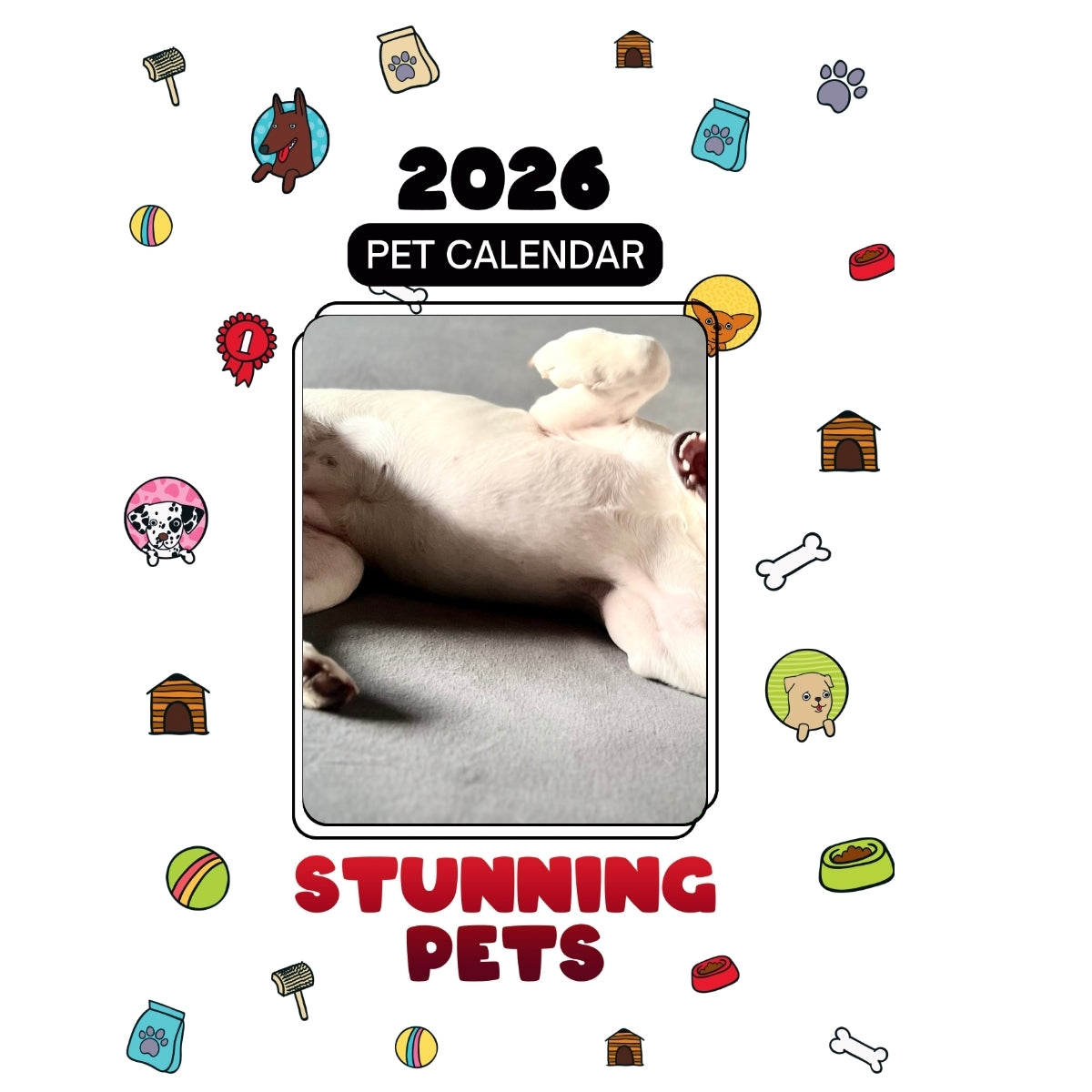 Sola Headlines Stunning Pets: A 2026 Pet Calendar