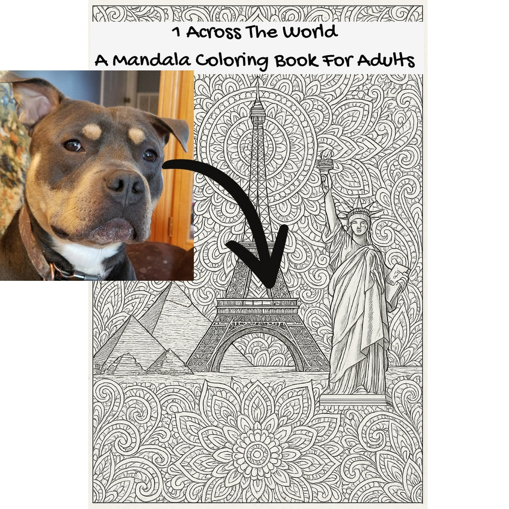 1 Across The World: A Mandala Coloring Book For Adults