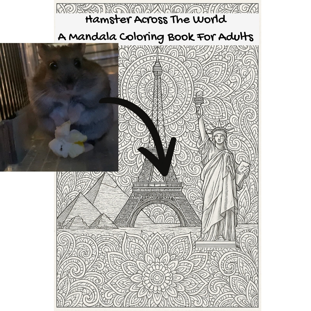 Hamster Across The World: A Mandala Coloring Book For Adults