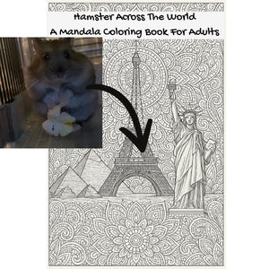 Hamster Across The World: A Mandala Coloring Book For Adults