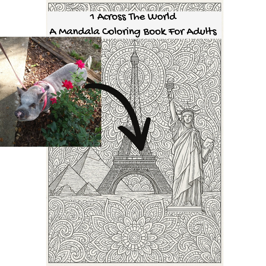 1 Across The World: A Mandala Coloring Book For Adults