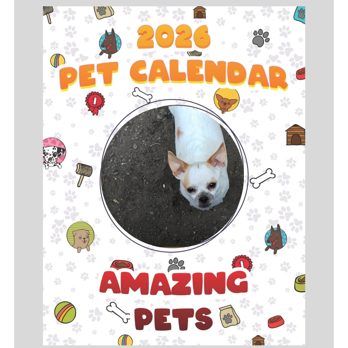 Chihuahua Stars in Stunning Pets: A 2026 Pet Calendar