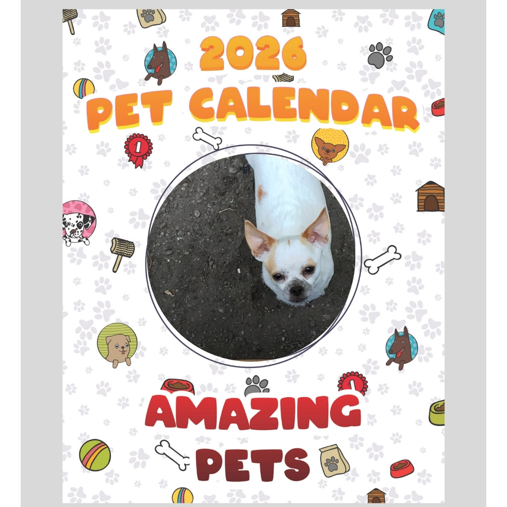 Chihuahua Stars in Stunning Pets: A 2026 Pet Calendar