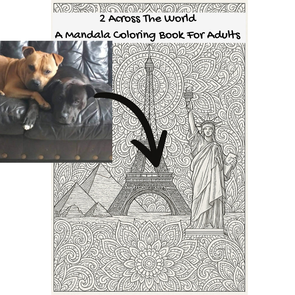 2 Across The World: A Mandala Coloring Book For Adults