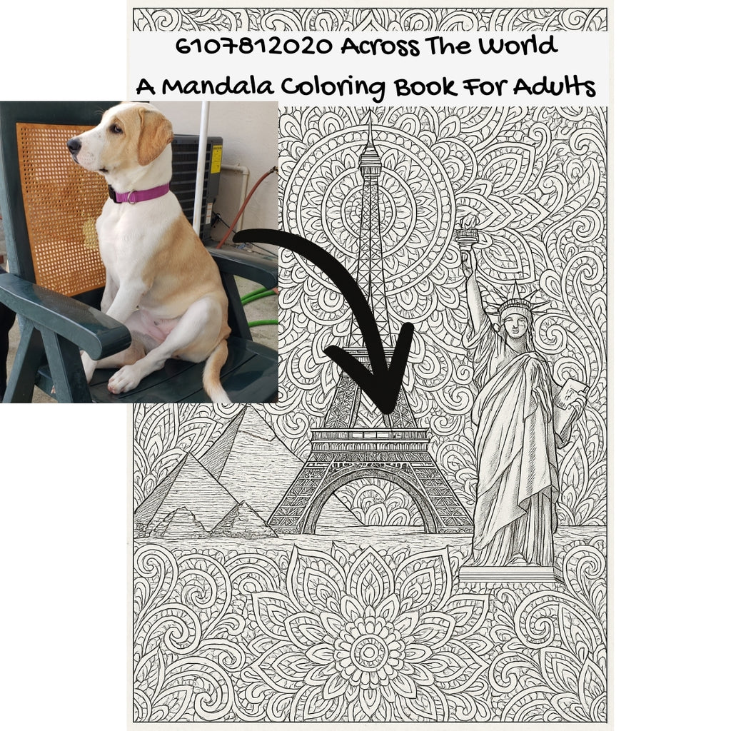 6107812020 Across The World: A Mandala Coloring Book For Adults