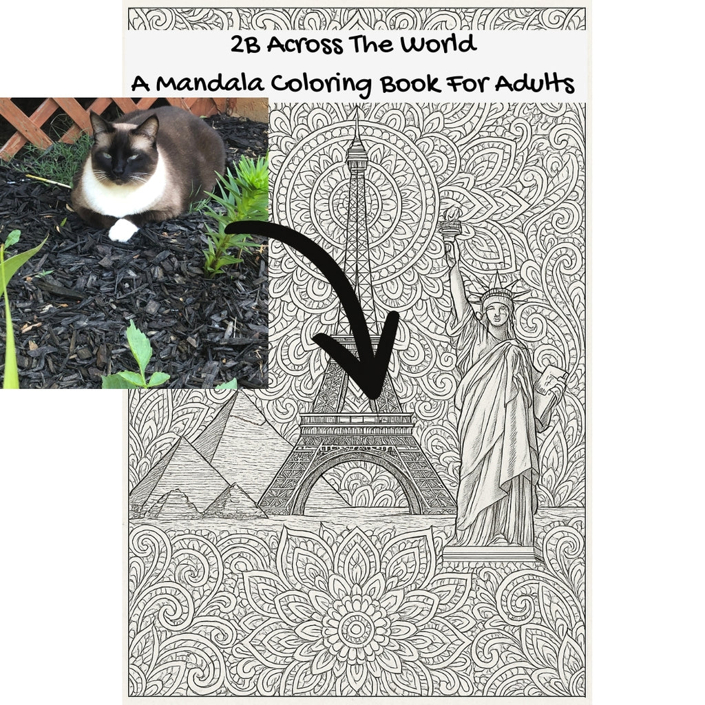 2B Across The World: A Mandala Coloring Book For Adults