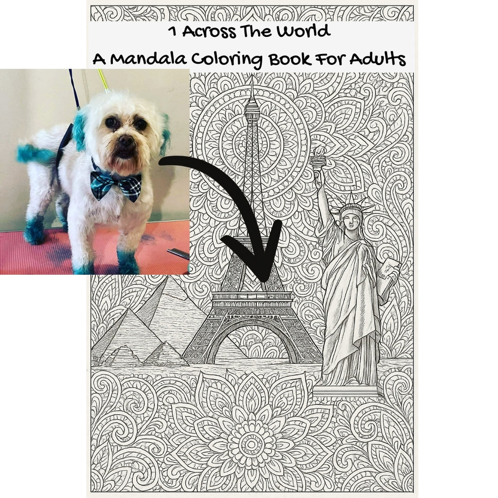 1 Across The World: A Mandala Coloring Book For Adults