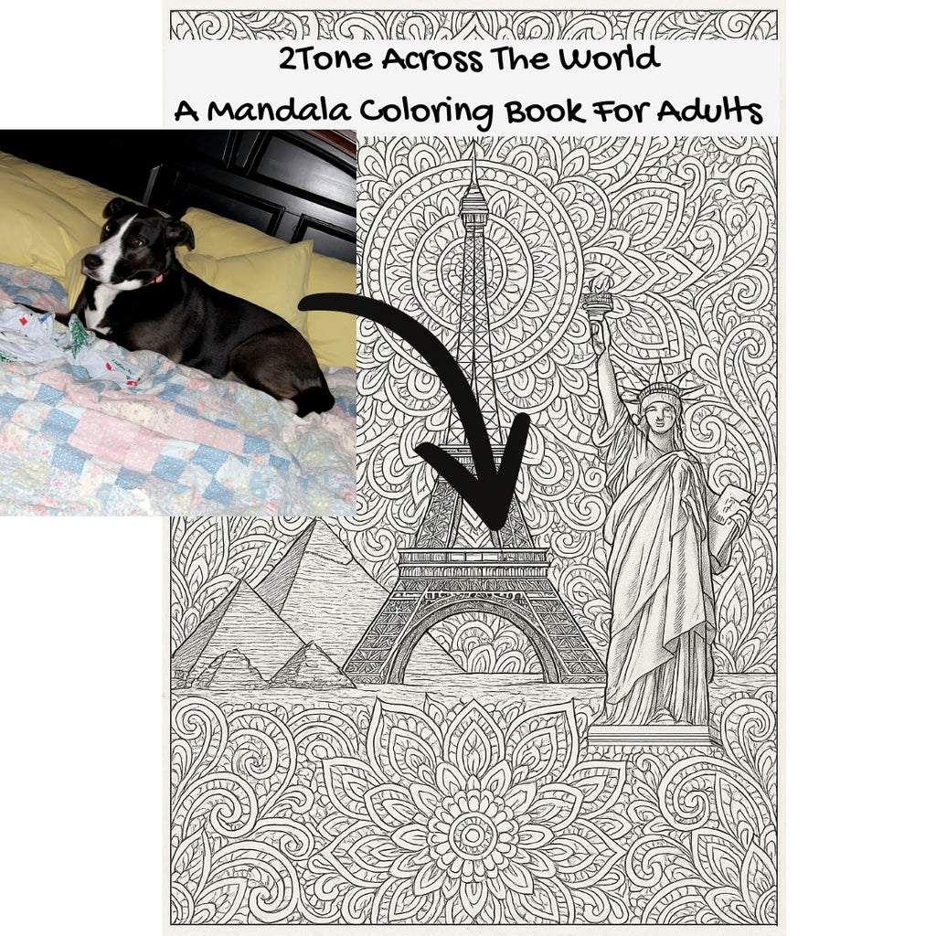 2Tone Across The World: A Mandala Coloring Book For Adults