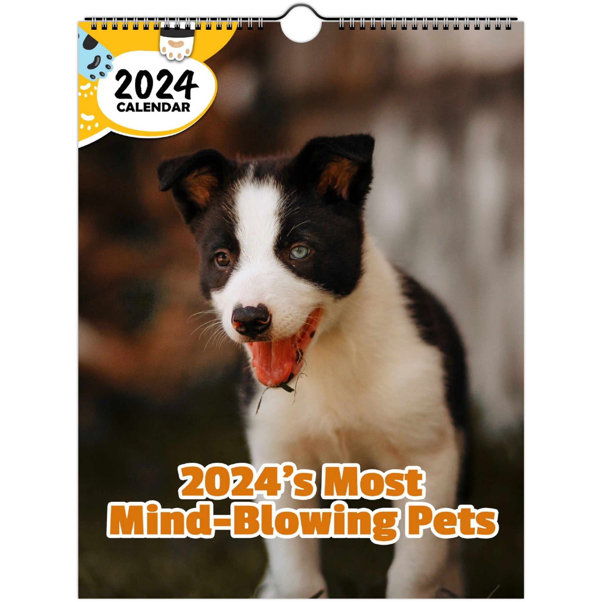 2024's Most Mind-Blowing Pets: 2024 Wall Calendar (Published)