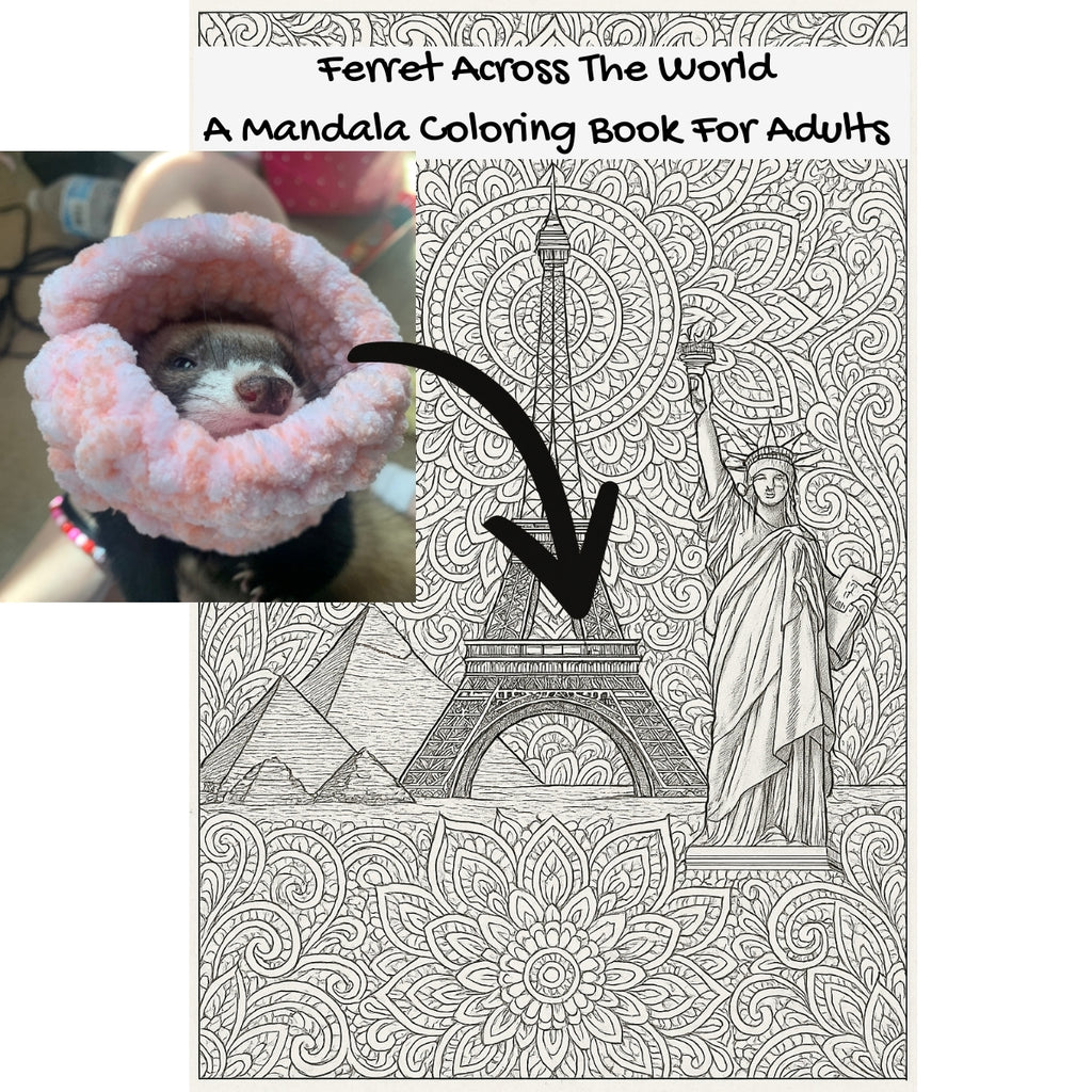 Ferret Across The World: A Mandala Coloring Book For Adults