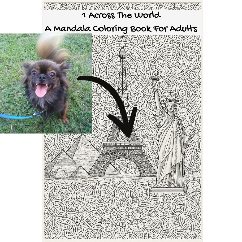 1 Across The World: A Mandala Coloring Book For Adults