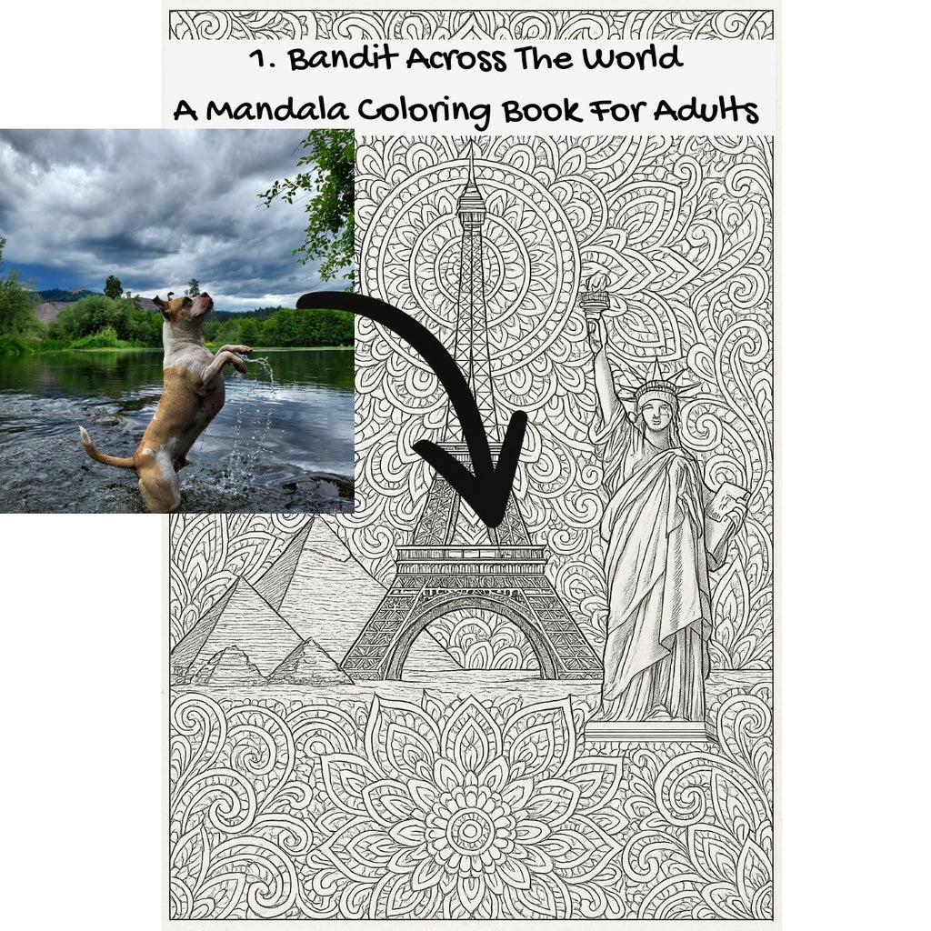 1. Bandit Across The World: A Mandala Coloring Book For Adults