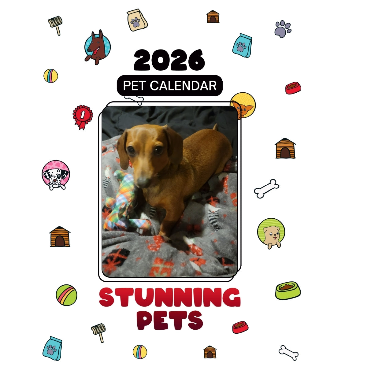 1 Headlines Stunning Pets: A 2026 Pet Calendar