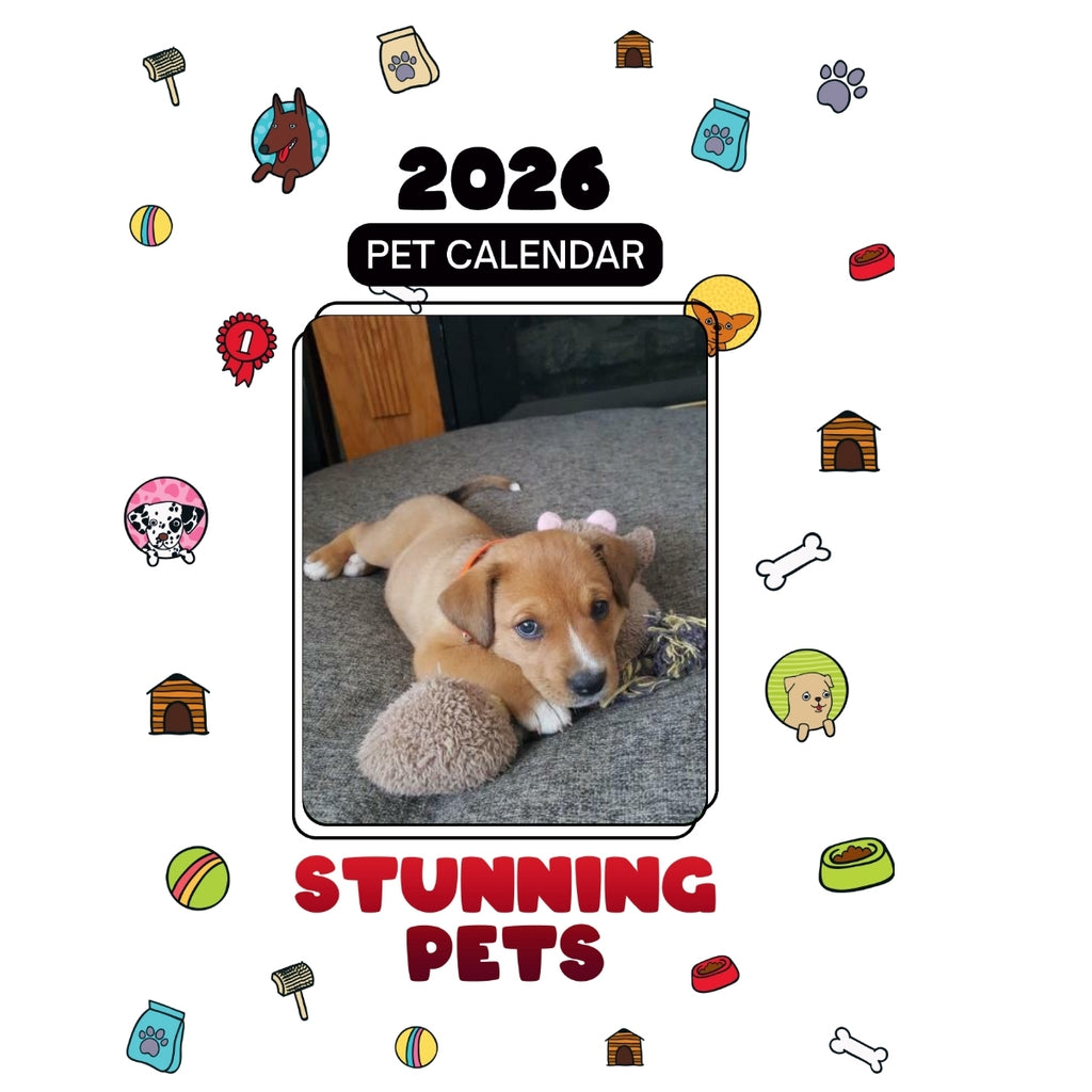 1 Headlines Stunning Pets: A 2026 Pet Calendar