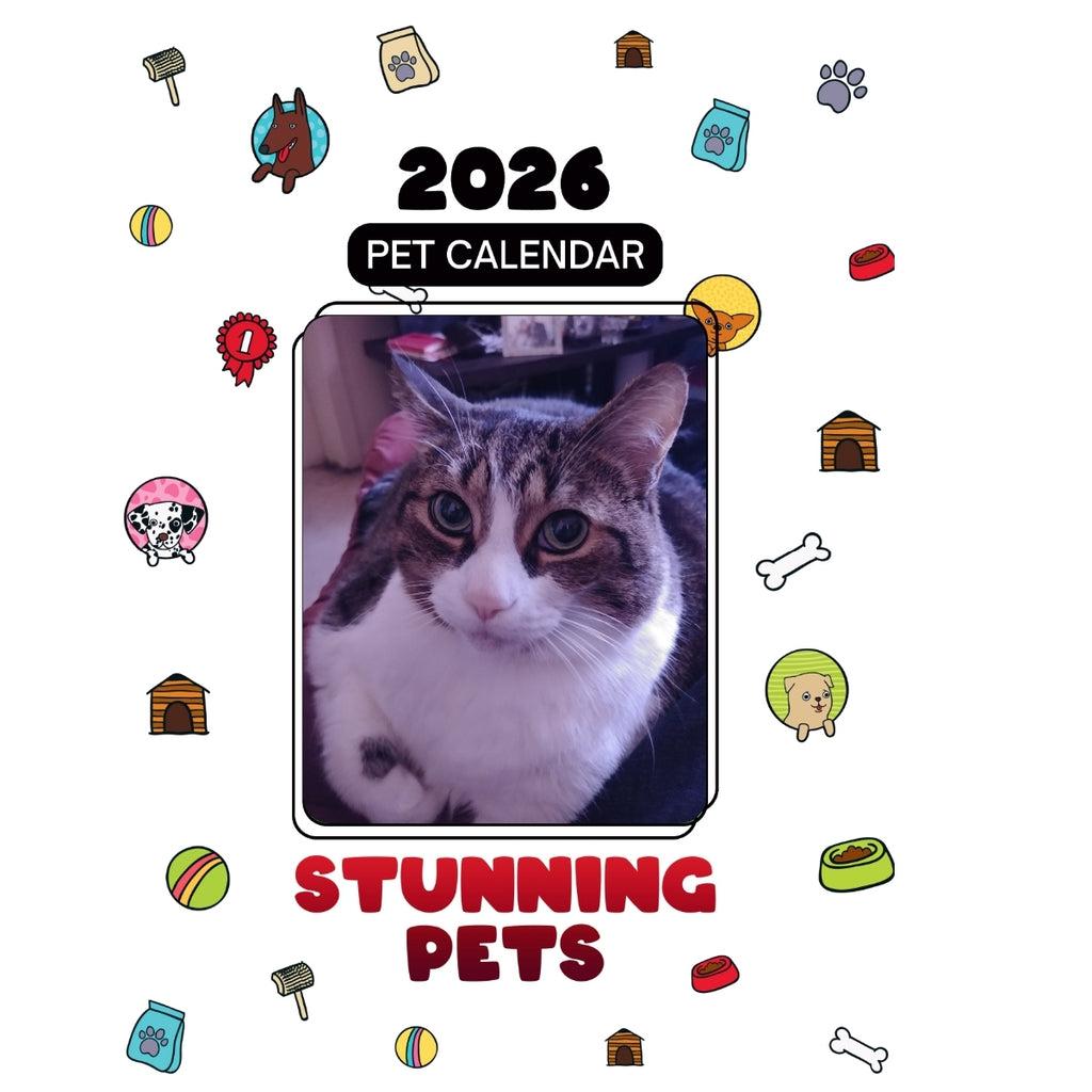 1 Headlines Stunning Pets: A 2026 Pet Calendar