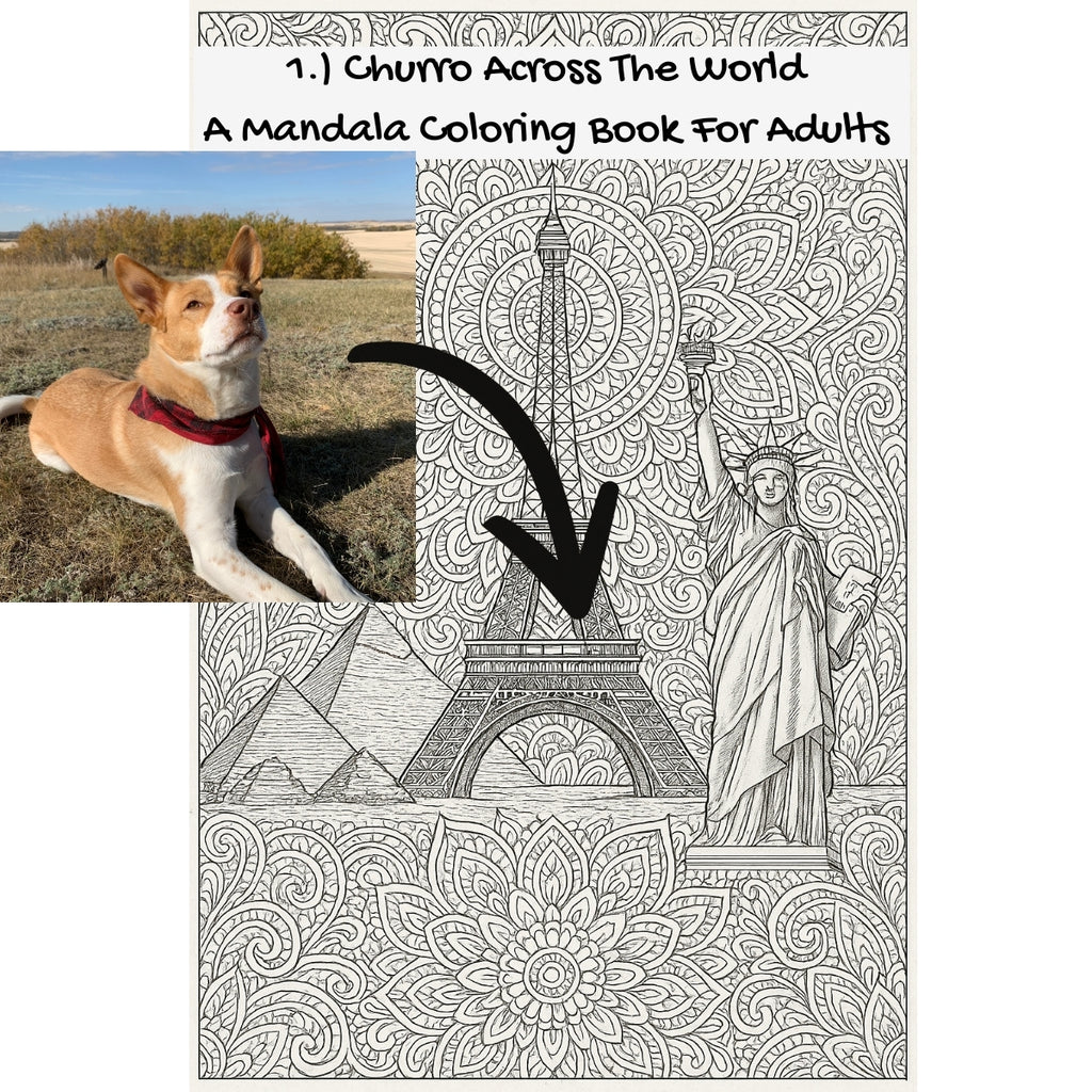1.) Churro Across The World: A Mandala Coloring Book For Adults