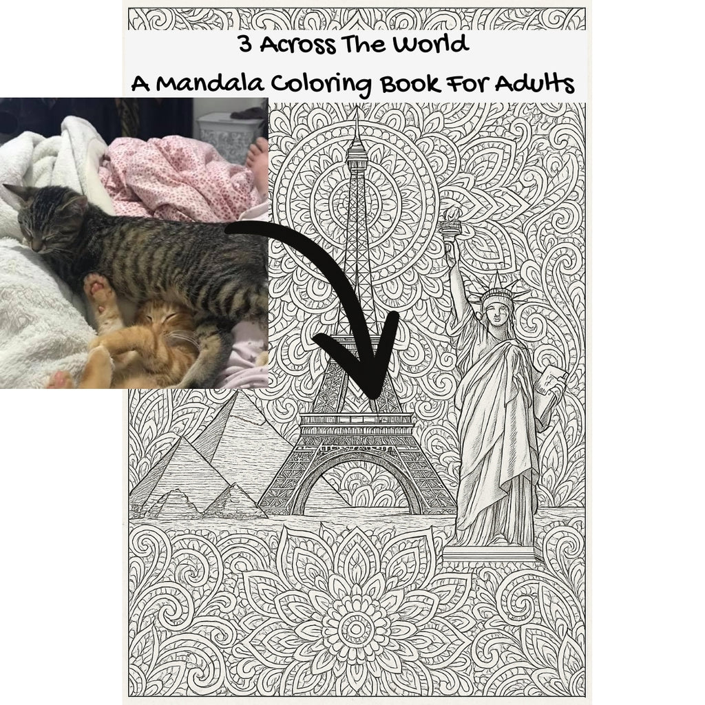 3 Across The World: A Mandala Coloring Book For Adults