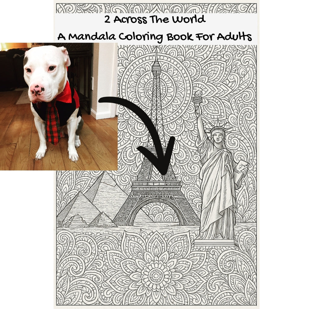 2 Across The World: A Mandala Coloring Book For Adults