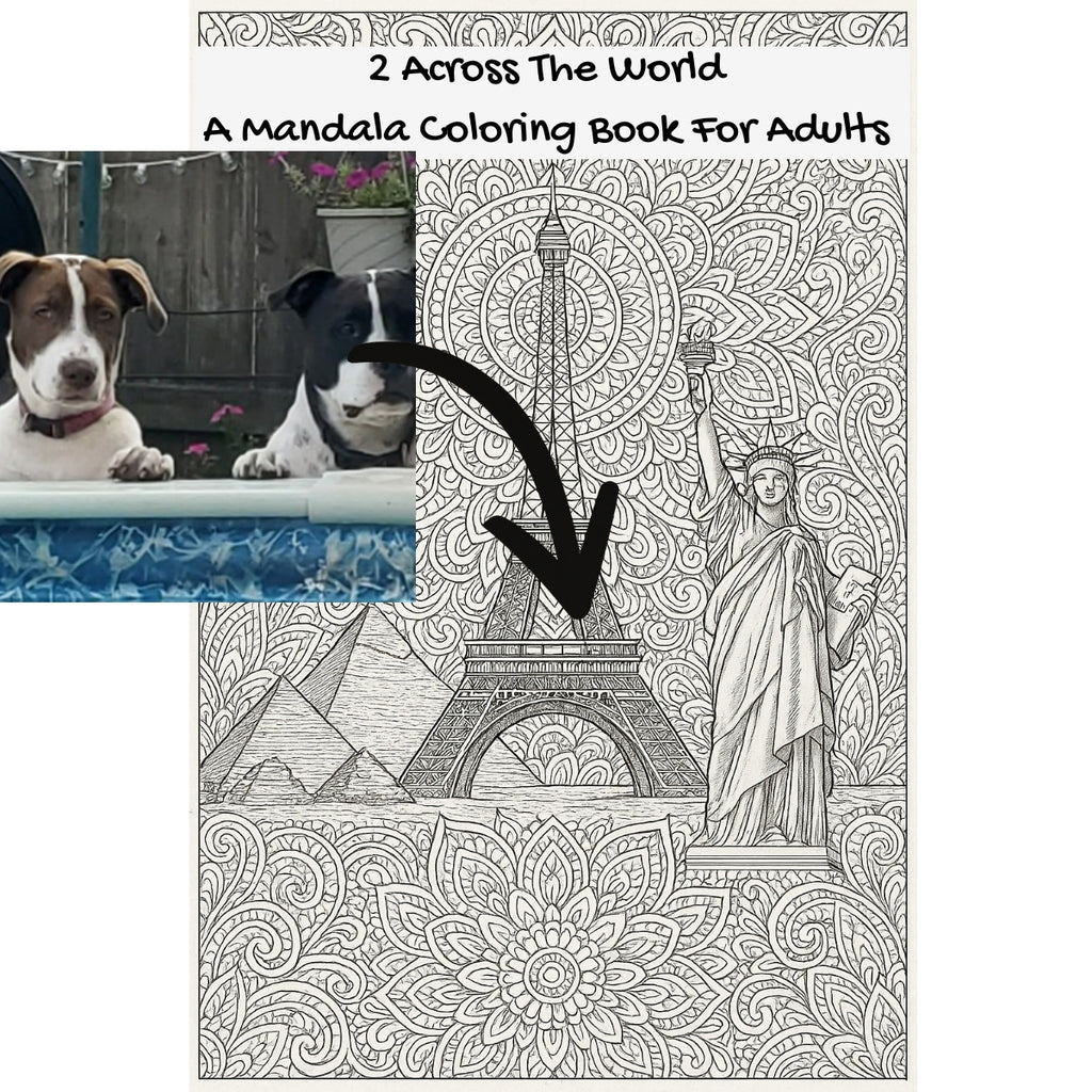 2 Across The World: A Mandala Coloring Book For Adults
