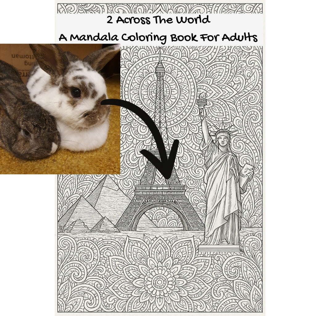 2 Across The World: A Mandala Coloring Book For Adults