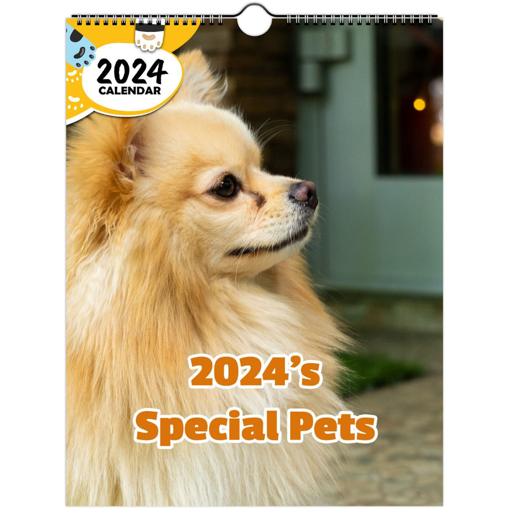2024's Special Pets: 2024 Wall Calendar (Published)