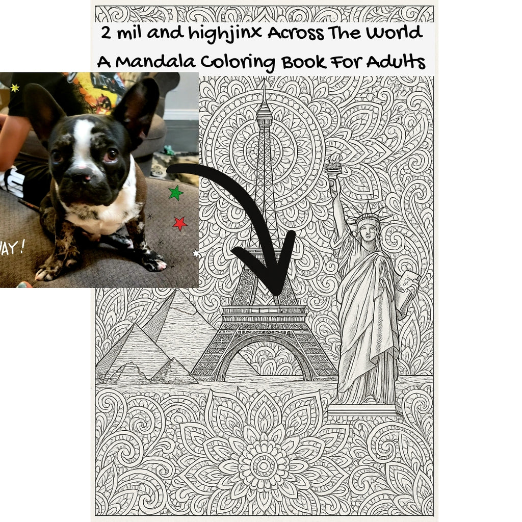 2 mil and highjinx Across The World: A Mandala Coloring Book For Adults