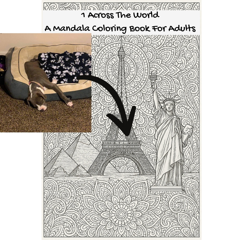 1 Across The World: A Mandala Coloring Book For Adults