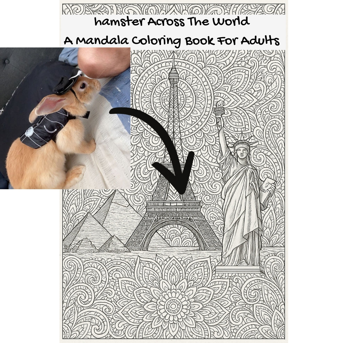 hamster Across The World: A Mandala Coloring Book For Adults
