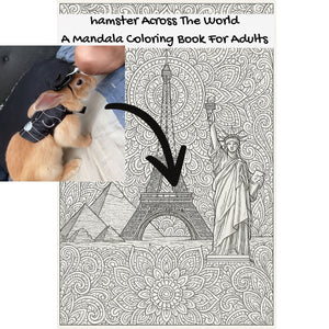 hamster Across The World: A Mandala Coloring Book For Adults