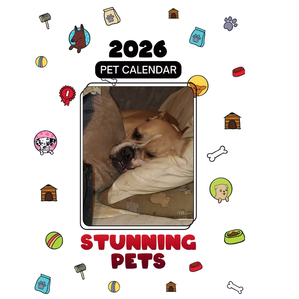 Alapaha blue blood bulldog Headlines Stunning Pets: A 2026 Pet Calendar