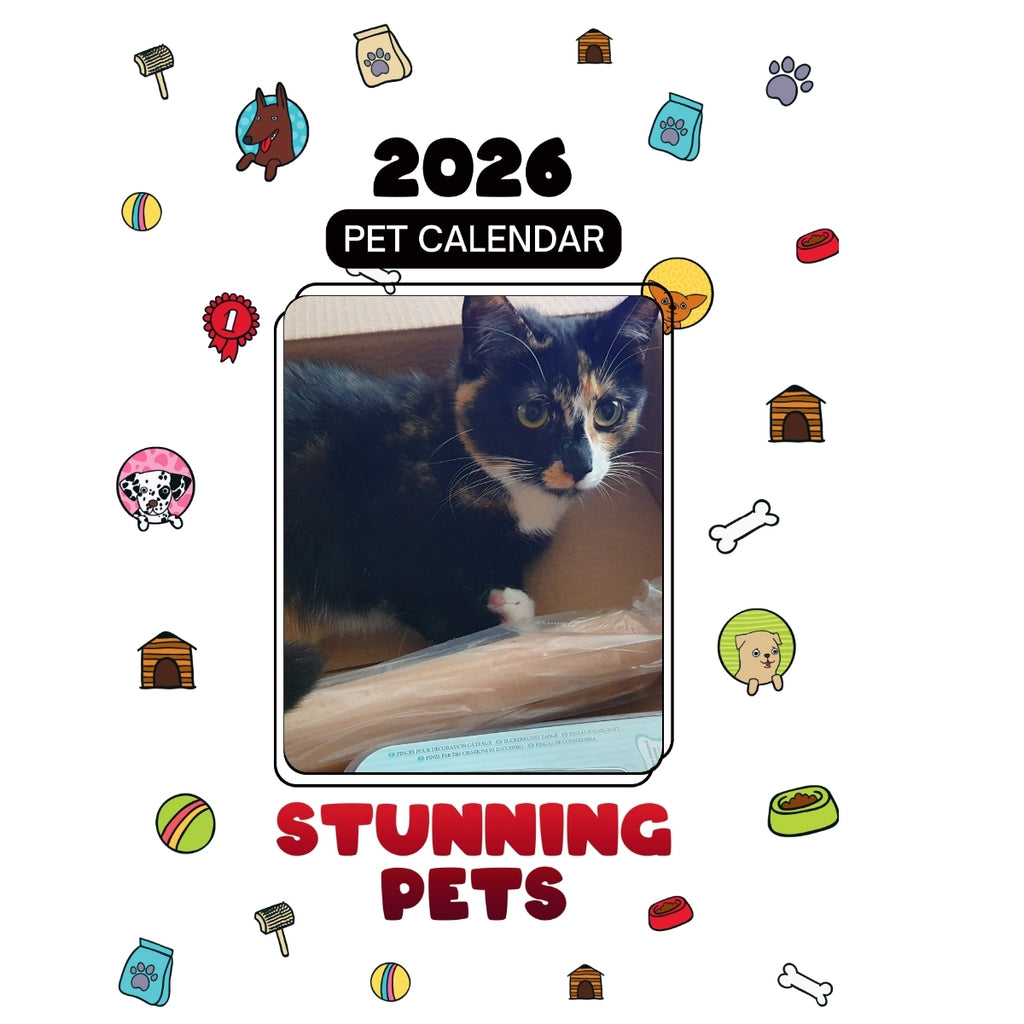 1 Headlines Stunning Pets: A 2026 Pet Calendar